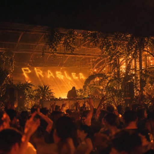 Praslea artist photo