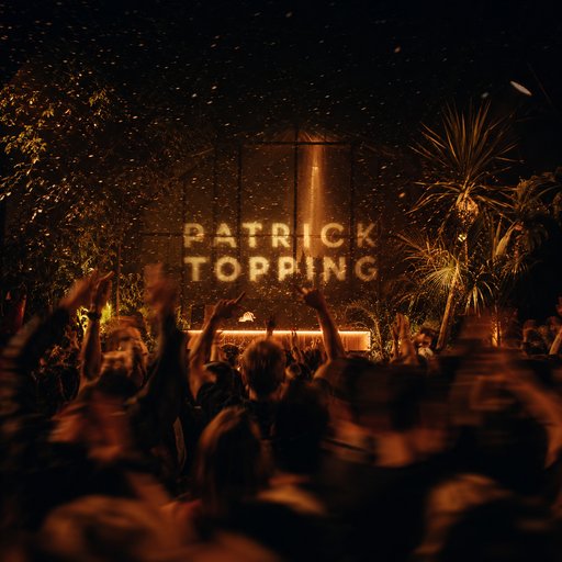 Patrick Topping artist photo
