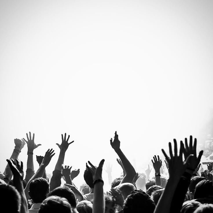 Crowd hands raised — club culture